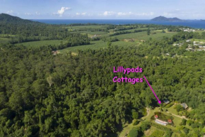 Lillypads Yellow Cottage - Rainforest Getaway
